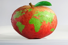 Image Image